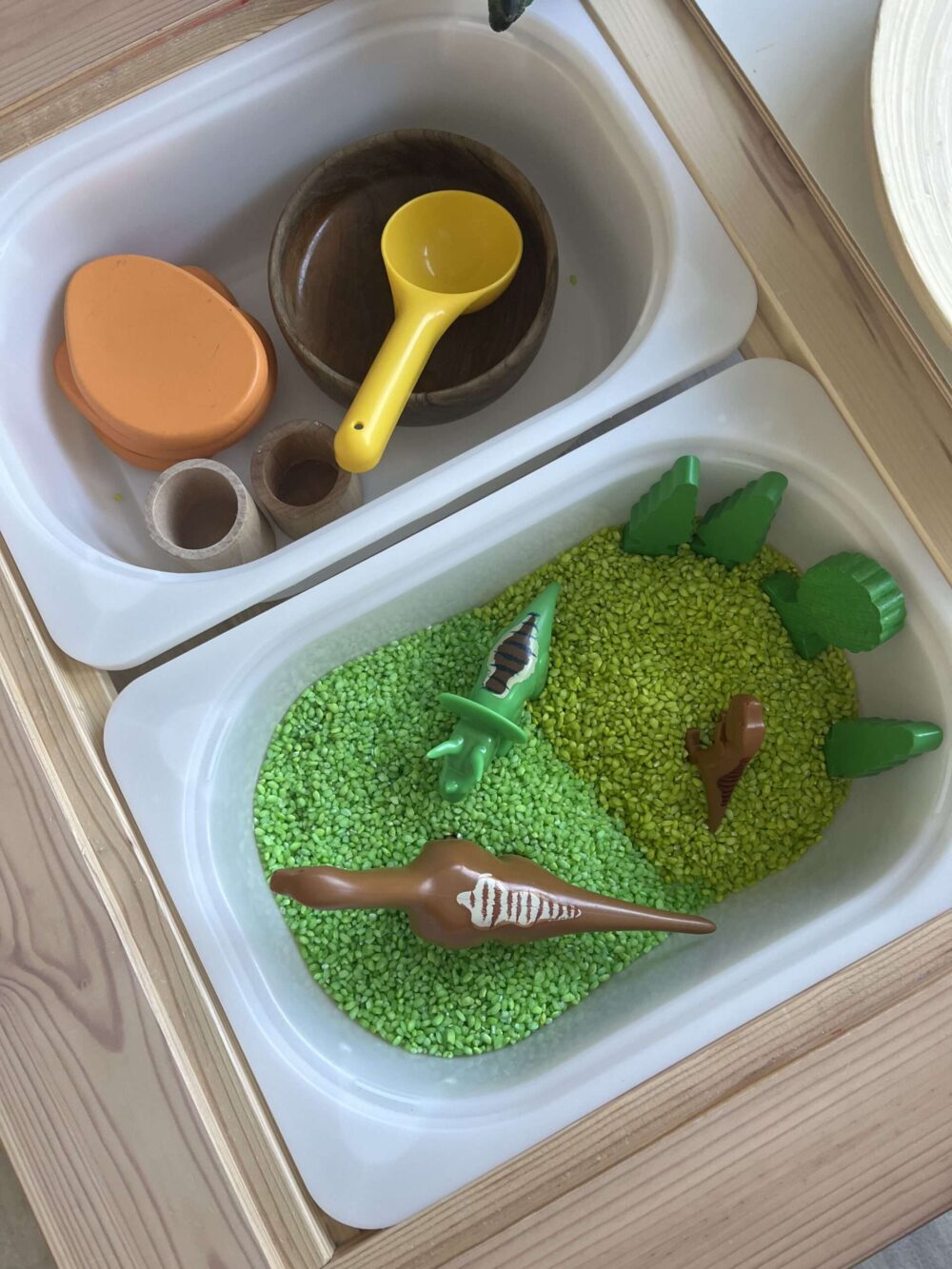Dino-Sensory Play