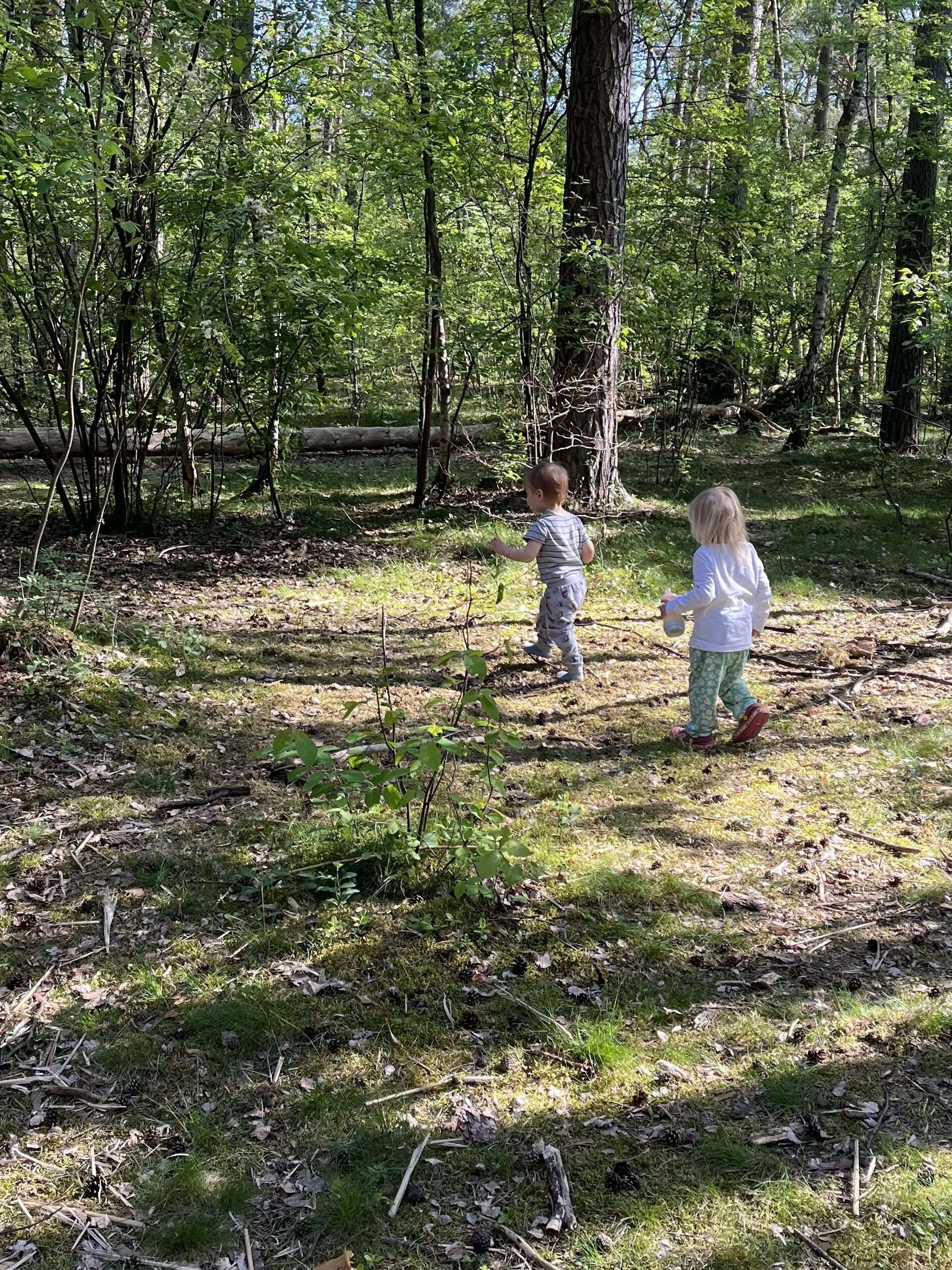 Kinder spielen im Wald - ein Tag im Wiesennest Lachendorf