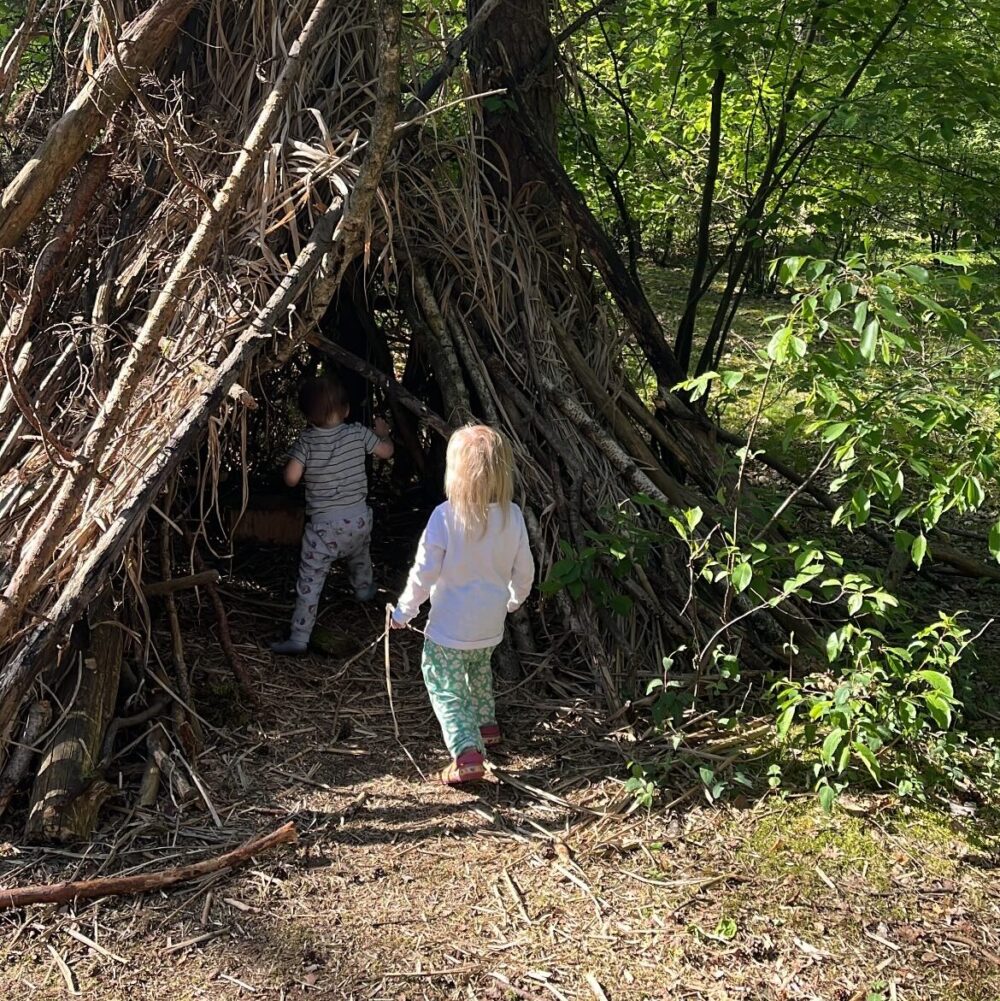 Das Wiesennest unterwegs im Wald