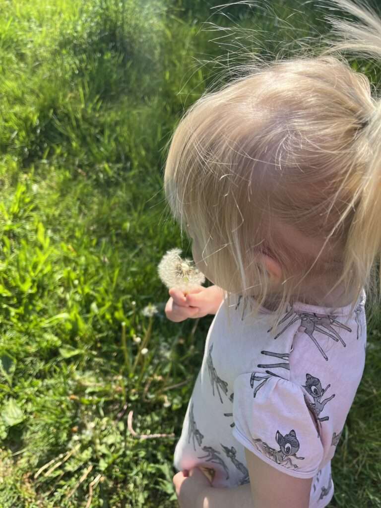 Tagesmutter Celle, die Natur erleben